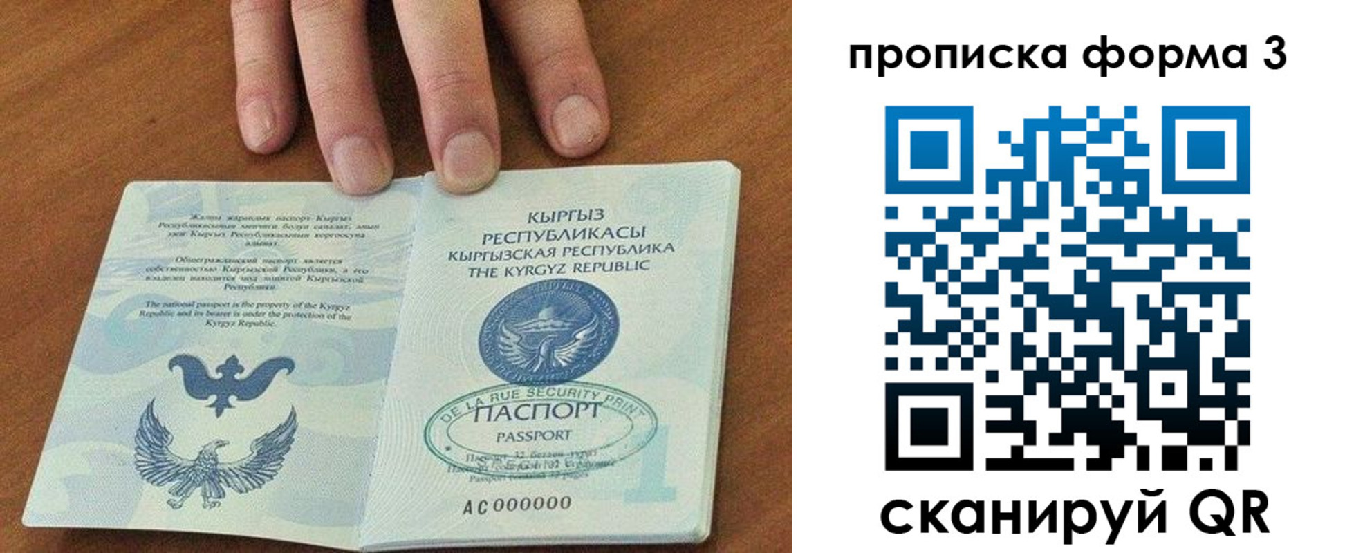 прописка 2025 в Куртамыше